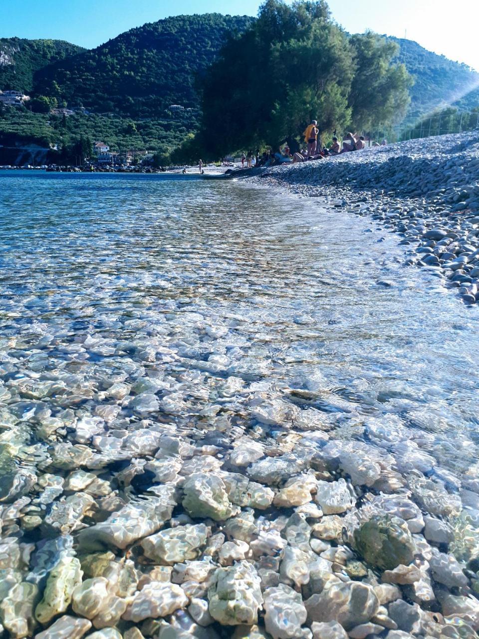 Zante Dahlia Hotel ลากานาส ภายนอก รูปภาพ