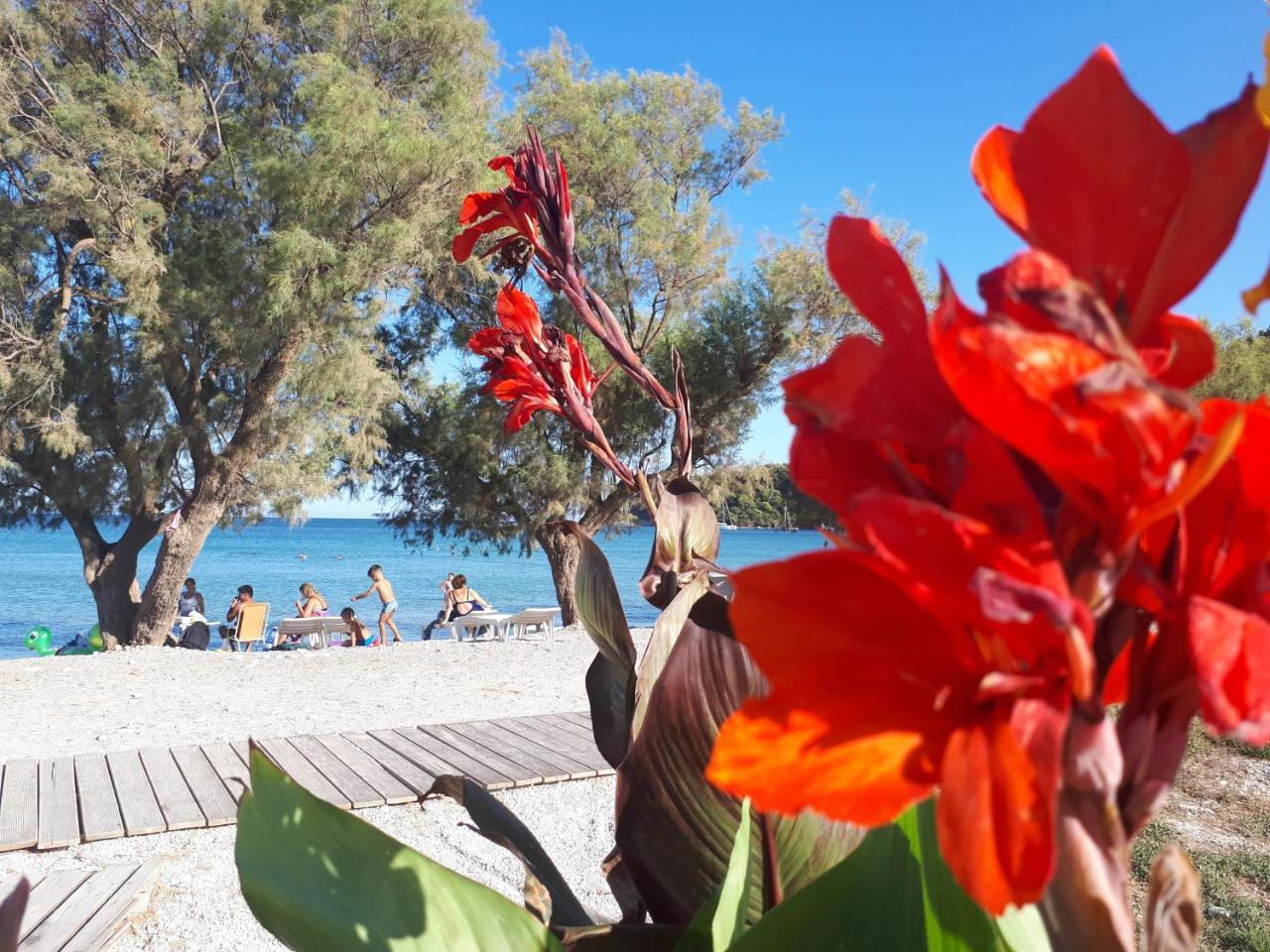 Zante Dahlia Hotel ลากานาส ภายนอก รูปภาพ