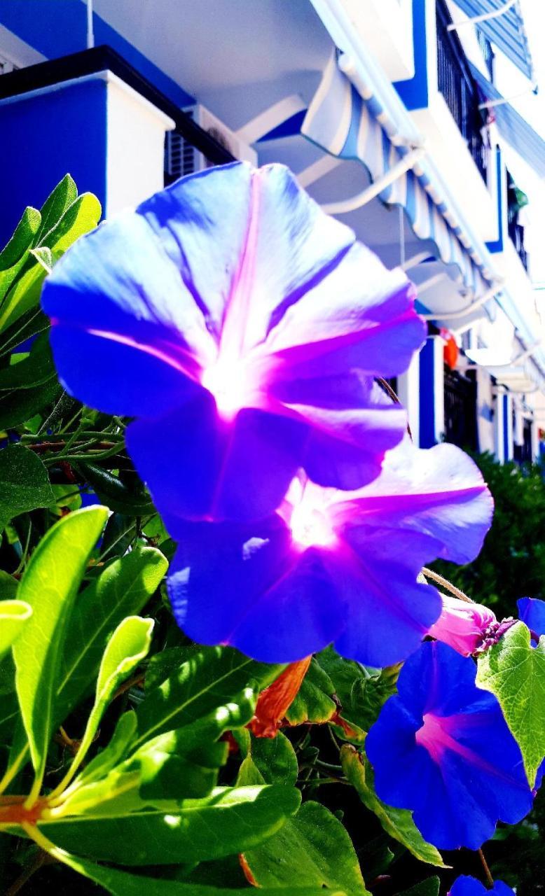 Zante Dahlia Hotel ลากานาส ภายนอก รูปภาพ